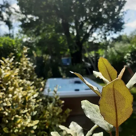La Casa Di Priscilla Gospodarstwo wiejskie *