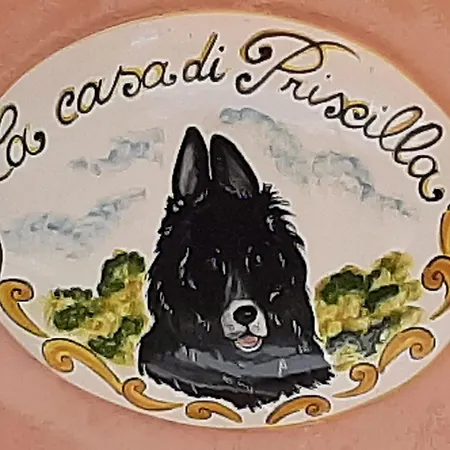 La Casa Di Priscilla *