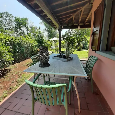 La Casa Di Priscilla * Bucine